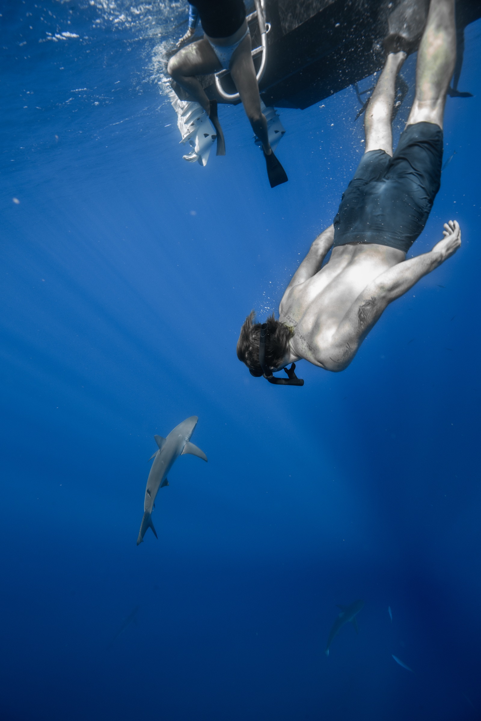 Diving headfirst toward a shark below