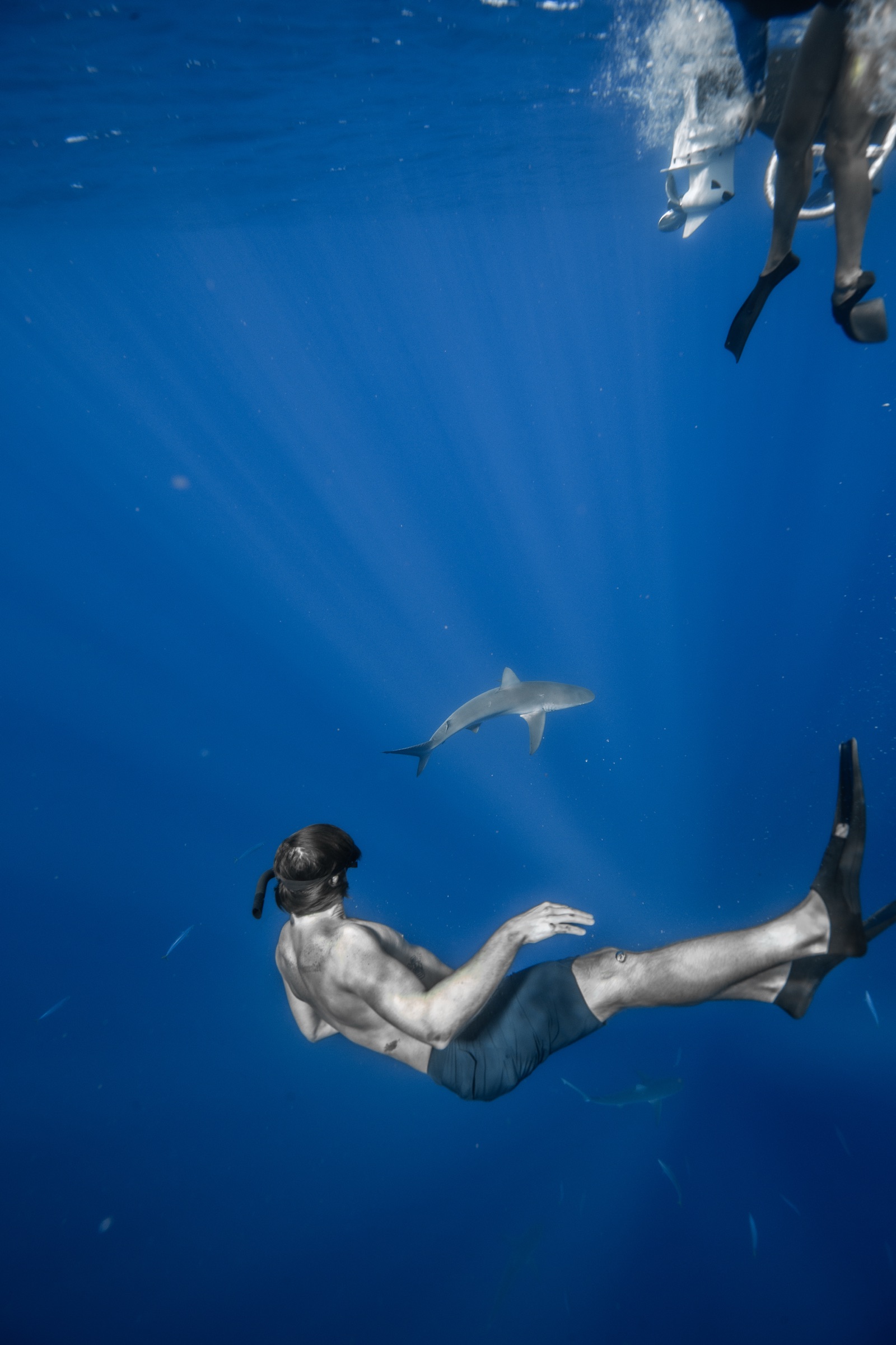 Freediving with a shark in the god rays