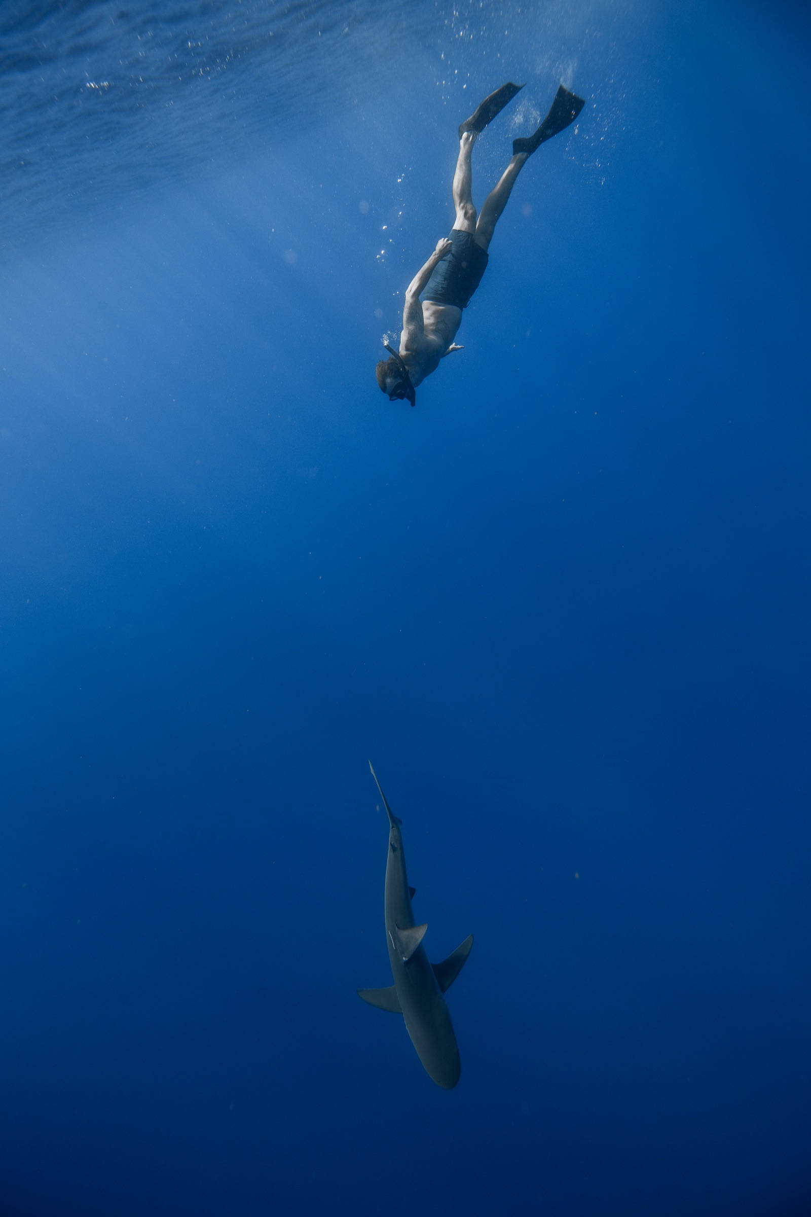Freediving down as a shark passes below